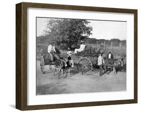 Wood Carts, Jamaica, C1905-Adolphe & Son Duperly-Framed Giclee Print