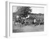 Wood Carts, Jamaica, C1905-Adolphe & Son Duperly-Framed Giclee Print