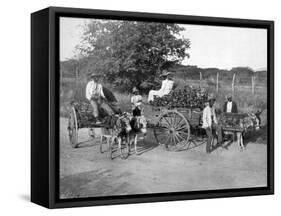 Wood Carts, Jamaica, C1905-Adolphe & Son Duperly-Framed Stretched Canvas