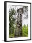 Wood Carvings from Traditional Folklore at the Hill of Witches on the Dano River-Michael Nolan-Framed Photographic Print