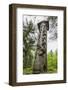 Wood Carvings from Traditional Folklore at the Hill of Witches on the Dano River-Michael Nolan-Framed Photographic Print