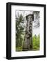 Wood Carvings from Traditional Folklore at the Hill of Witches on the Dano River-Michael Nolan-Framed Photographic Print