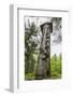 Wood Carvings from Traditional Folklore at the Hill of Witches on the Dano River-Michael Nolan-Framed Photographic Print