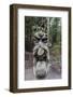 Wood Carvings from Traditional Folklore at the Hill of Witches on the Dano River-Michael Nolan-Framed Photographic Print