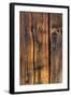 Wood Detail II-Kathy Mahan-Framed Photographic Print