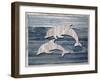 Wood Dolphins, 2024-Tim Ashwood-Framed Art Print
