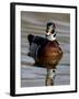 Wood Duck (Aix Sponsa) Drake Swimming, Sterne Park, Littleton, Colorado-null-Framed Photographic Print