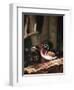 Wood Duck, Florida, USA-Charles Sleicher-Framed Premium Photographic Print