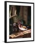 Wood Duck, Florida, USA-Charles Sleicher-Framed Photographic Print