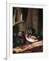 Wood Duck, Florida, USA-Charles Sleicher-Framed Photographic Print