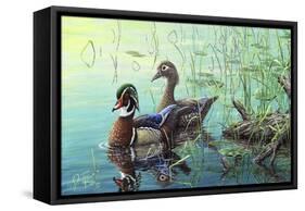 Wood Ducks-Jeff Tift-Framed Stretched Canvas