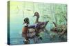 Wood Ducks-Jeff Tift-Stretched Canvas