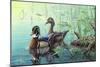 Wood Ducks-Jeff Tift-Mounted Giclee Print