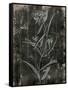 Wood Floral-Jace Grey-Framed Stretched Canvas