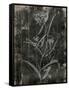 Wood Floral-Jace Grey-Framed Stretched Canvas