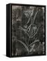 Wood Floral-Jace Grey-Framed Stretched Canvas