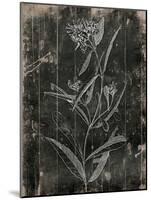 Wood Floral-Jace Grey-Mounted Art Print