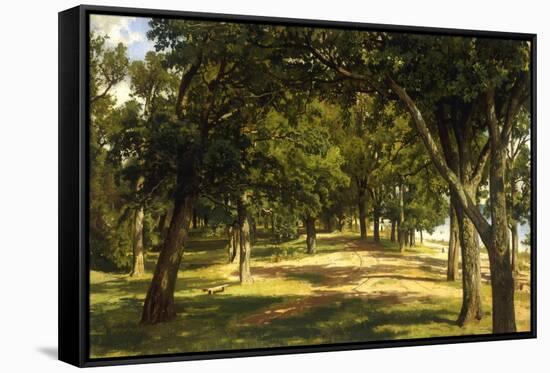 Wood Glade, 1889-Ivan Ivanovitch Shishkin-Framed Stretched Canvas