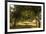 Wood Glade, 1889-Ivan Ivanovitch Shishkin-Framed Giclee Print