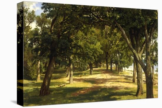 Wood Glade, 1889-Ivan Ivanovitch Shishkin-Stretched Canvas