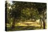 Wood Glade, 1889-Ivan Ivanovitch Shishkin-Stretched Canvas