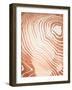 Wood Grain Suminagashi II-Annie Warren-Framed Art Print