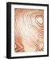 Wood Grain Suminagashi II-Annie Warren-Framed Art Print