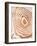 Wood Grain Suminagashi III-Annie Warren-Framed Art Print