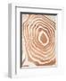 Wood Grain Suminagashi III-Annie Warren-Framed Art Print