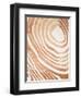 Wood Grain Suminagashi IV-Annie Warren-Framed Art Print