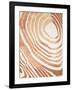 Wood Grain Suminagashi IV-Annie Warren-Framed Art Print