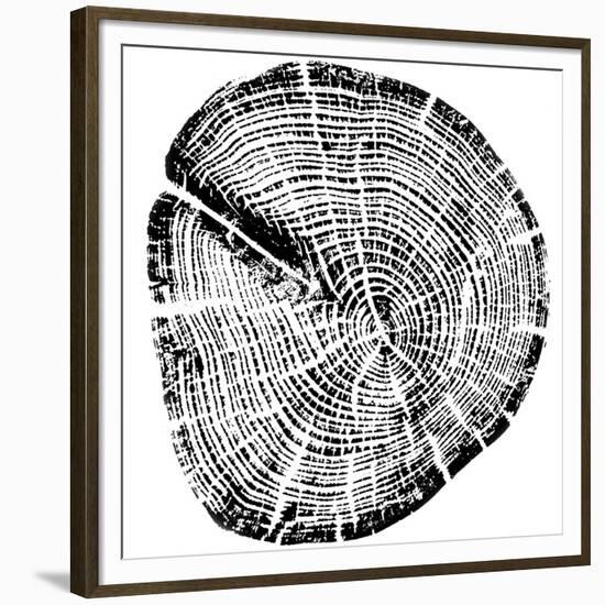 Wood Grain-PI Studio-Framed Premium Giclee Print