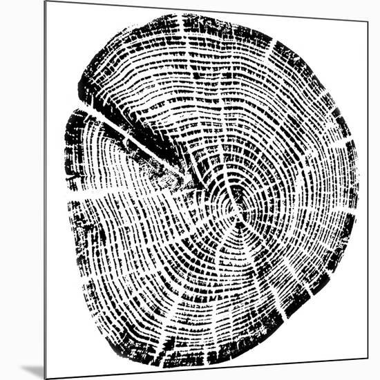 Wood Grain-PI Studio-Mounted Premium Giclee Print