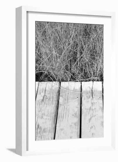 Wood Grass-Jeff Pica-Framed Photographic Print