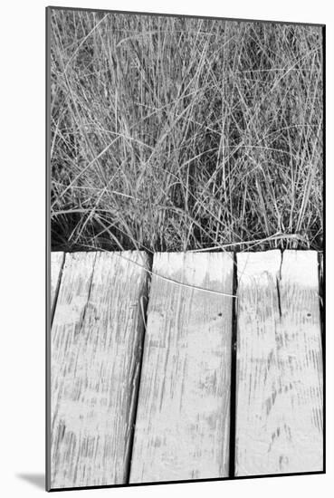 Wood Grass-Jeff Pica-Mounted Photographic Print