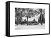 Wood House Snowy Winter in Central Park New York City-Philippe Hugonnard-Framed Stretched Canvas