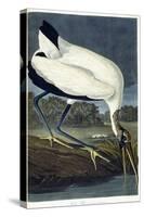 Wood Ibis, 1834-John James Audubon-Stretched Canvas