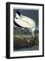 Wood Ibis, 1834-John James Audubon-Framed Premium Giclee Print