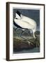 Wood Ibis, 1834-John James Audubon-Framed Giclee Print