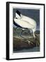 Wood Ibis, 1834-John James Audubon-Framed Giclee Print