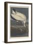 Wood Ibis, 1834-John James Audubon-Framed Giclee Print