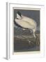 Wood Ibis, 1834-John James Audubon-Framed Giclee Print