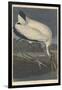 Wood Ibis, 1834-John James Audubon-Framed Giclee Print