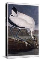 Wood Ibis-John James Audubon-Stretched Canvas