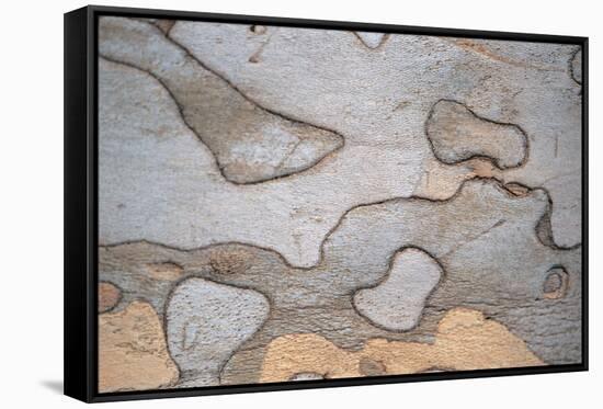 Wood Image-WizData-Framed Stretched Canvas