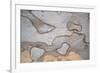 Wood Image-WizData-Framed Photographic Print