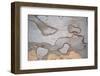 Wood Image-WizData-Framed Photographic Print