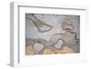 Wood Image-WizData-Framed Photographic Print