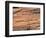 Wood Image-WizData-Framed Photographic Print