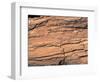 Wood Image-WizData-Framed Photographic Print